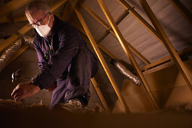  Baidland, PA Insulation Contractor Pros